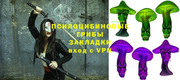 ешки Алзамай