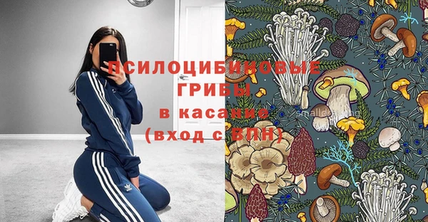 стафф Алексин