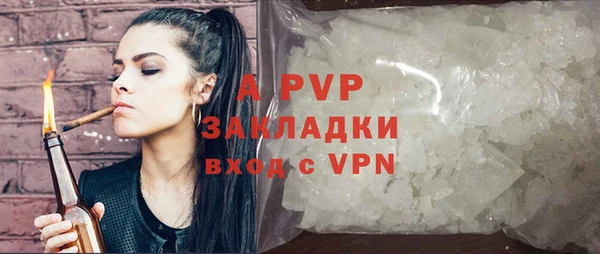 стафф Алексин