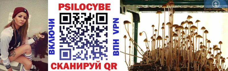 Псилоцибиновые грибы ЛСД  как найти закладки  Алзамай 